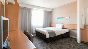 Western style room
